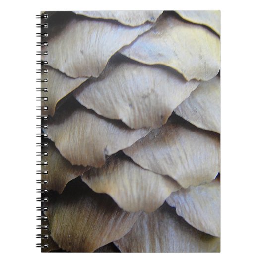 Brauner Tannenkegel Notizblock (Vorderseite)