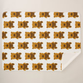 Brauner Teddybär Sherpadecke (Vorderseite (Horizontal))