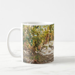 BRAUNER TIGER IN GEHENDER POSITION KAFFEETASSE