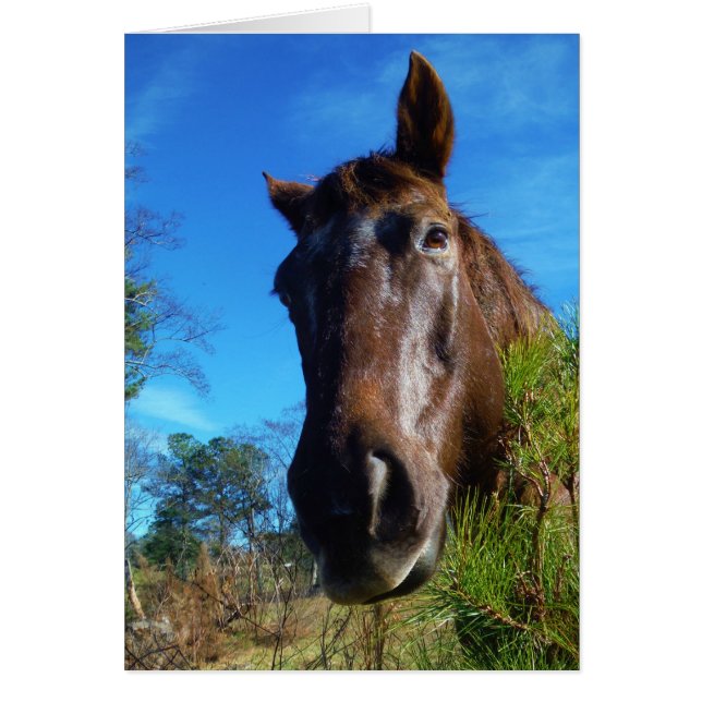 Brauner und cremefarbener Himmel (Vorne)