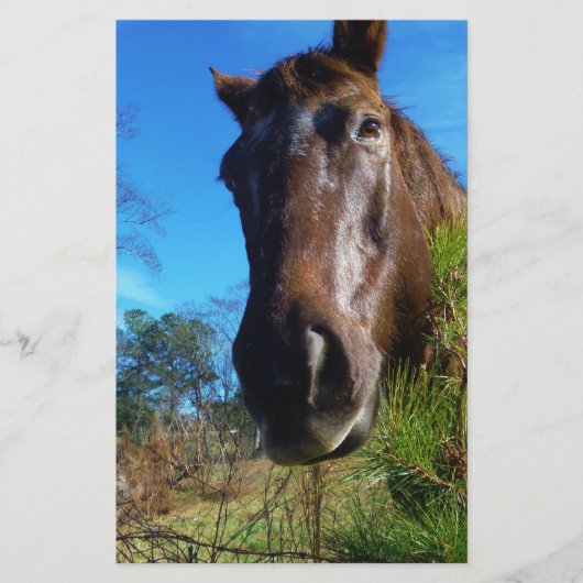 Brauner und cremefarbener Himmel Briefpapier (Vorderseite)