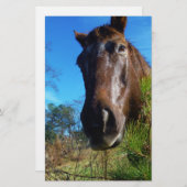 Brauner und cremefarbener Himmel Briefpapier (Vorne/Hinten)