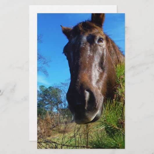 Brauner und cremefarbener Himmel Briefpapier (Vorne/Hinten)