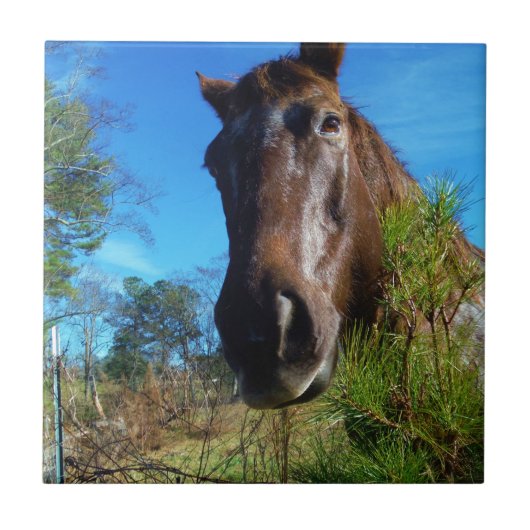 Brauner und cremefarbener Himmel Fliese (Vorderseite)