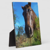 Brauner und cremefarbener Himmel Fotoplatte (Seite)