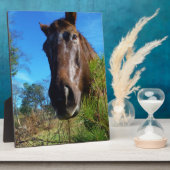 Brauner und cremefarbener Himmel Fotoplatte (Seite)