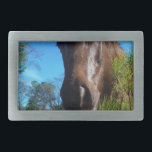 Brauner und cremefarbener Himmel Rechteckige Gürtelschnalle<br><div class="desc">Braun & Creme Farbige Pferde blauer Himmel Foto von Sandy Closs Passen Sie mit Ihrem eigenen Namen oder Text an,  um eine von einer Art Geschenk zu schaffen. "Pferdefreunde""Pferdegeschenk""Pferdegeschenk",  "Geschenke für Pferdeliebhaber",  "Pferde aus der Liebe",  "Pferde",  "Pferde",  "Pferdegeschenke""Landtiere",  Pony,  Ponys""Pferdeliebhaber"</div>