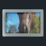Brauner und cremefarbener Himmel Rechteckige Gürtelschnalle<br><div class="desc">Braun & Creme Farbige Pferde blauer Himmel Foto von Sandy Closs Passen Sie mit Ihrem eigenen Namen oder Text an,  um eine von einer Art Geschenk zu schaffen. "Pferdefreunde""Pferdegeschenk""Pferdegeschenk",  "Geschenke für Pferdeliebhaber",  "Pferde aus der Liebe",  "Pferde",  "Pferde",  "Pferdegeschenke""Landtiere",  Pony,  Ponys""Pferdeliebhaber"</div>