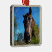 Brauner und cremefarbener Himmel Silbernes Ornament (Rechts)