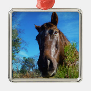 Brauner und cremefarbener Himmel Silbernes Ornament