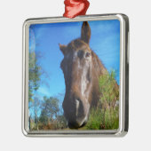 Brauner und cremefarbener Himmel Silbernes Ornament (Links)