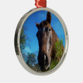 Brauner und cremefarbener Himmel Silbernes Ornament (Rechts)