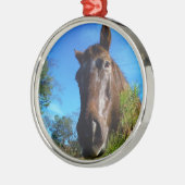 Brauner und cremefarbener Himmel Silbernes Ornament (Links)