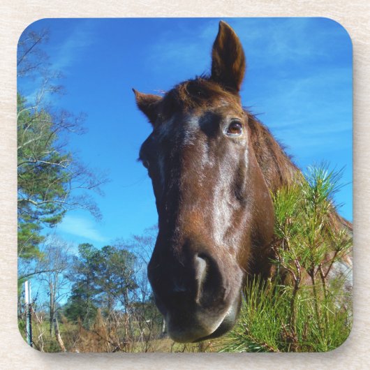 Brauner und cremefarbener Himmel Untersetzer (Vorderseite)