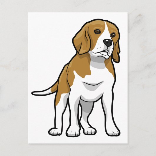 Brauner und weißer Beagle Postkarte (Vorderseite)
