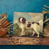 Brauner und weißer Norfolk oder Wasser Spaniel, 17 Fotoplatte (Seite)