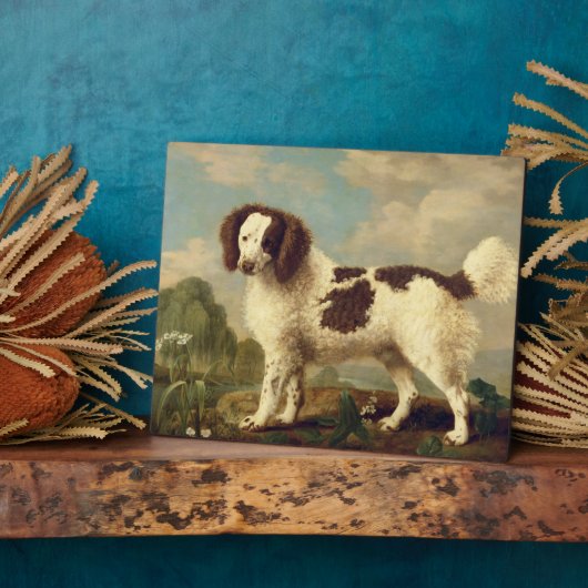 Brauner und weißer Norfolk oder Wasser Spaniel, 17 Fotoplatte (Seite)