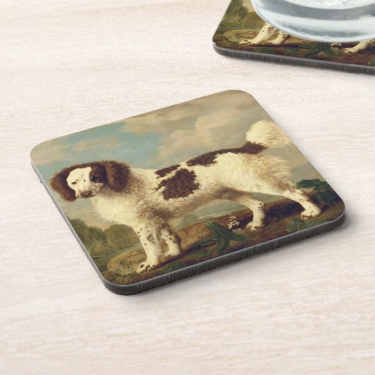 Brauner und weißer Norfolk oder Wasser Spaniel, 17 Getränkeuntersetzer (Linke Seite)