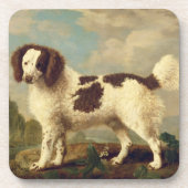 Brauner und weißer Norfolk oder Wasser Spaniel, 17 Getränkeuntersetzer (Vorderseite)