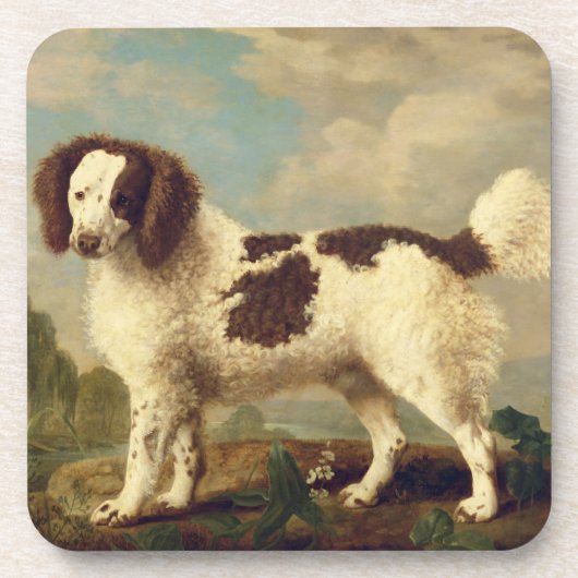 Brauner und weißer Norfolk oder Wasser Spaniel, 17 Getränkeuntersetzer (Vorderseite)
