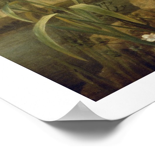 Brauner und weißer Norfolk oder Wasser Spaniel, 17 Poster (Ecke)