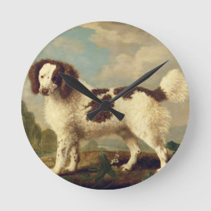 Brauner und weißer Norfolk oder Wasser Spaniel, 17 Runde Wanduhr