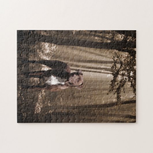 Brauner und weißer Pitbulle im Waldsonnenstrahl Puzzle (Horizontal)