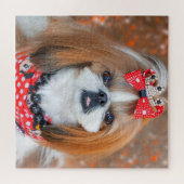 Brauner und weißer Schih Tzu Welpenhund Puzzle (Horizontal)