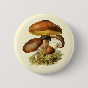 Brauner Vintage-Pilz Button