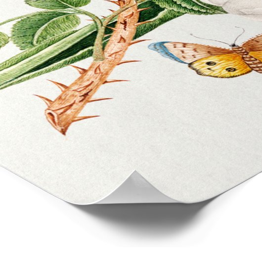 Brauner Vogel auf einem Ast Poster (Ecke)