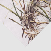 Brauner Vogel und Nest Decoupage Set Wren 2 von 4 Seidenpapier (Detail)