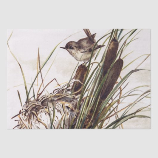 Brauner Vogel und Nest Decoupage Set Wren 2 von 4 Seidenpapier (Vorderseite)