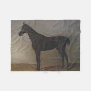 Brauner Wallach (Vintage-Tierkunst) Fleecedecke