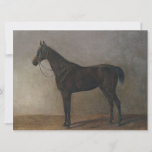 Brauner Wallach (Vintage-Tierkunst) Karte