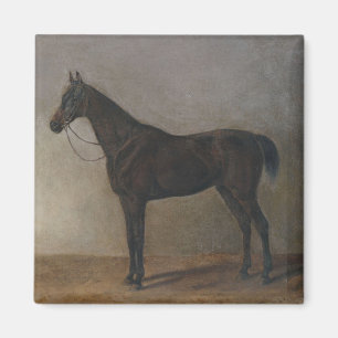 Brauner Wallach (Vintage-Tierkunst) Magnet