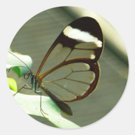 Brauner weißer und lichtdurchlässiger Flügelbutt Runder Aufkleber