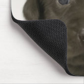 Brauner Welpe, Portrait, nah-up Mousepad (Ecke)