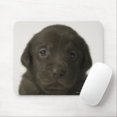 Brauner Welpe, Portrait, nah-up Mousepad (Mit Mouse)