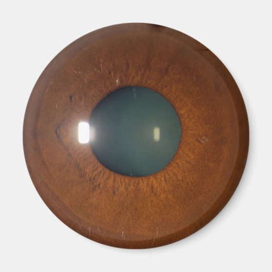 Braunes Auge Magnet (Vorne)