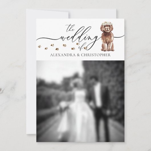 Braunes Cavapoo-Welpen-Hochzeitsfoto Einladung (Vorderseite)