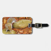 Braunes Eichhörnchen Gepäckanhänger (Vorderseite horizontal)