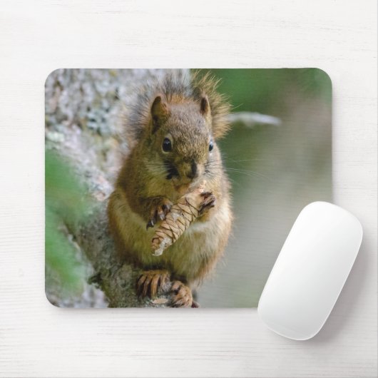 Braunes Eichhörnchen unter Zweigen - Kanadische Wi Mousepad (Mit Mouse)
