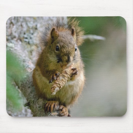 Braunes Eichhörnchen unter Zweigen - Kanadische Wi Mousepad (Vorne)