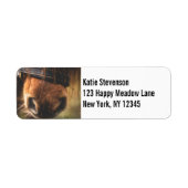 Braunes Foto (Vorne)