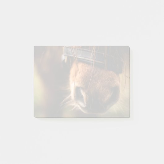 Braunes Foto Post-it Klebezettel (Vorderseite)