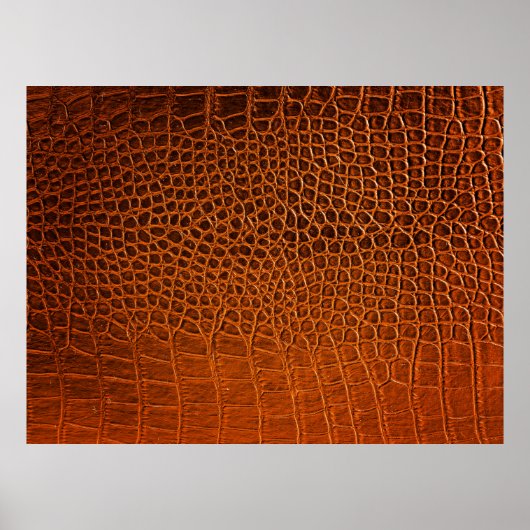 Braunes Krokodilleder Poster (Vorne)