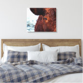 Braunes Kuhportrait Leinwanddruck (Insitu (Schlafzimmer))