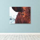 Braunes Kuhportrait Leinwanddruck (Insitu (Holzboden))
