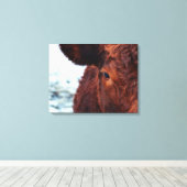 Braunes Kuhportrait Leinwanddruck (Insitu (Holzboden))