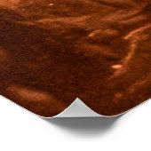 Braunes Leder mit einem Muster in Form eines Scal Poster (Ecke)